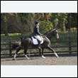durdress25_0312