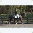 durdress25_0313