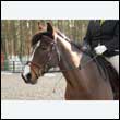 durdress25_0314