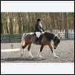 durdress25_0316