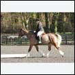durdress25_0317