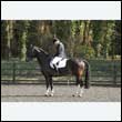 durdress25_0319