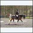 durdress25_0322