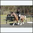 durdress25_0325