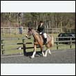 durdress25_0326