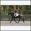 durdress25_0327