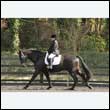 durdress25_0337