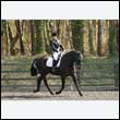 durdress25_0343