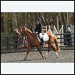 durdress25_0347