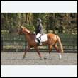 durdress25_0348
