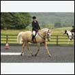 durdress26_0003