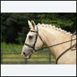durdress26_0005
