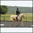 durdress26_0006
