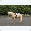 durdress26_0007