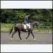 durdress26_0010