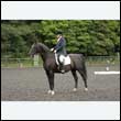 durdress26_0017