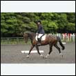 durdress26_0028