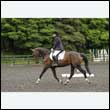 durdress26_0029