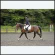 durdress26_0030