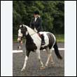 durdress26_0034