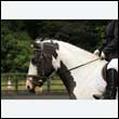 durdress26_0035