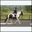 durdress26_0039