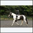 durdress26_0041