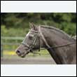 durdress26_0052