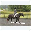 durdress26_0053