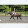 durdress26_0054
