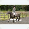 durdress26_0056