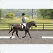 durdress26_0057