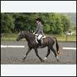 durdress26_0060