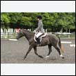 durdress26_0061