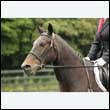 durdress26_0063