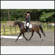 durdress26_0069