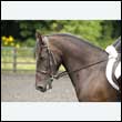 durdress26_0075
