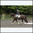 durdress26_0076
