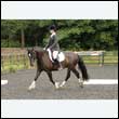 durdress26_0077