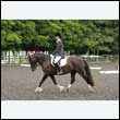 durdress26_0082