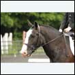 durdress26_0087