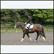 durdress26_0089