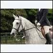 durdress26_0102