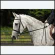 durdress26_0103