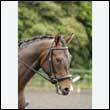 durdress26_0106