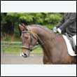 durdress26_0110