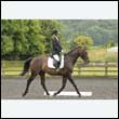 durdress26_0111