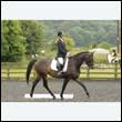 durdress26_0112