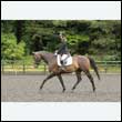 durdress26_0113