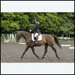 durdress26_0121